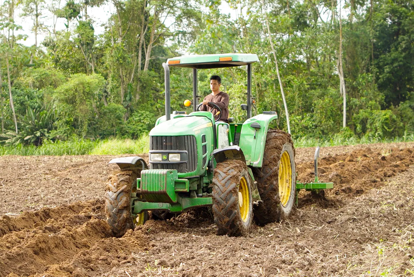 Arando antes de la siembra