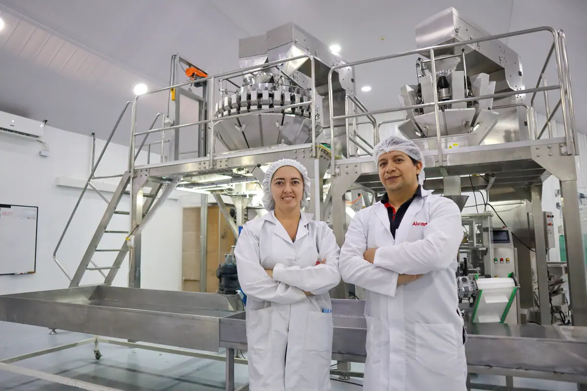 Línea de producción